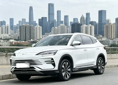 BYD Song PLUS New Energy · 2025 год