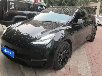 Tesla Model Y · 2021 год