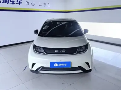 BYD Dolphin 2023, 42100 км, за 9547.8 USD