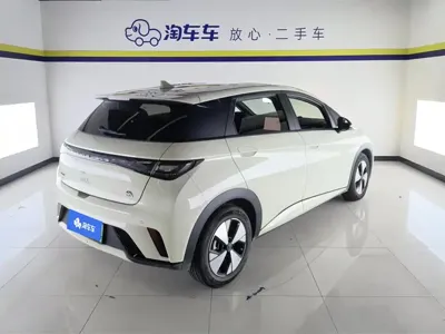 BYD Dolphin 2023, 42100 км, за 9547.8 USD