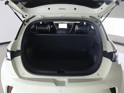 BYD Dolphin 2023, 42100 км, за 9547.8 USD