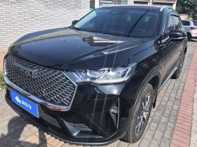 Haval H6 · 2022 год