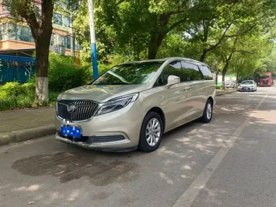 Buick GL8 · 2019 год