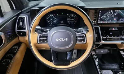 Kia Sorento 2023, 179401 км, за 15698.89 USD - фото 13
