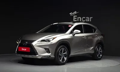 Lexus NX · 2021 год