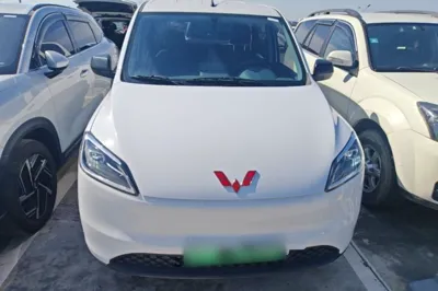 Wuling Hongguang New Energy · 2024 год