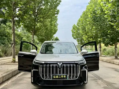 Voyah Dreamer 2023, 69000 км, за 21715.53 USD