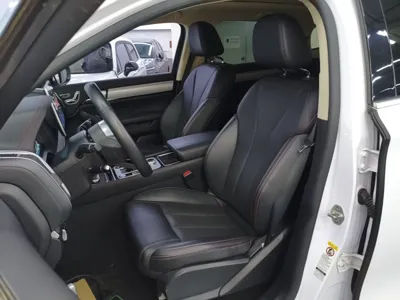 BYD Tang New Energy 2018, 50700 км, за 11910 USD - фото 18