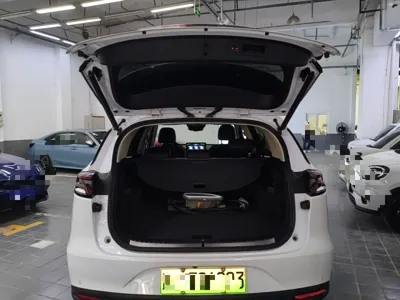 BYD Tang New Energy 2018, 50700 км, за 11910 USD - фото 22