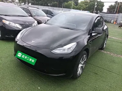 Tesla Model Y · 2023 год