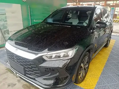 BYD Pro New Energy · 2024 год