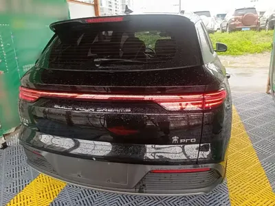 BYD Pro New Energy 2024, 87600 км, за 8872.69 USD - фото 6