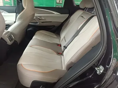 BYD Pro New Energy 2024, 87600 км, за 8872.69 USD - фото 17