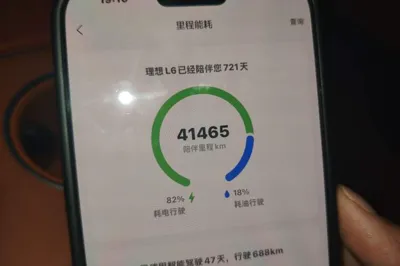 Li Auto L6