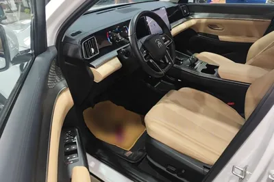 BYD Song Pro New Energy 2025, 22400 км, за 14171 USD - фото 22