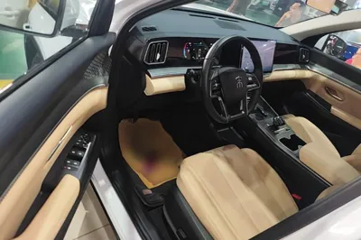 BYD Song Pro New Energy 2025, 22400 км, за 14171 USD - фото 23