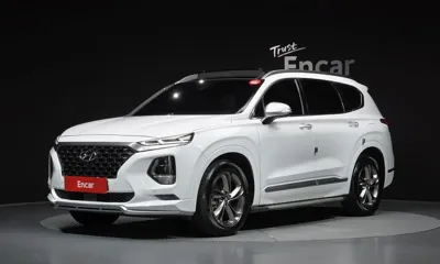 Hyundai Santafe · 2019 год