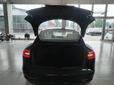 Tesla Model 3 2022, 154800 км, за 16891.96 USD - фото 19