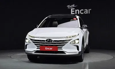 Hyundai Nexo 2020, 117447 км, за 8859.94 USD
