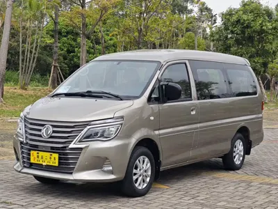 Fengxing Lingzhi · 2020 год