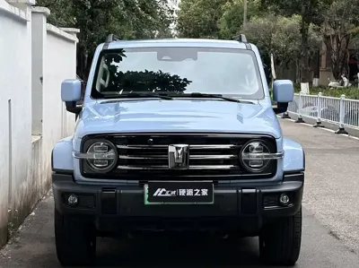 Tank Tank 300 New Energy 2024, 15000 км, за 25501.07 USD