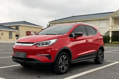 BYD Yuan Pro · 2021 год