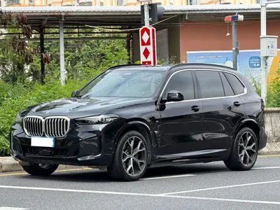 BMW X5 · 2023 год
