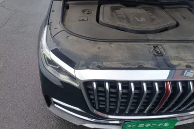 Hongqi HS7 2019, 65300 км, за 11214 USD - фото 23