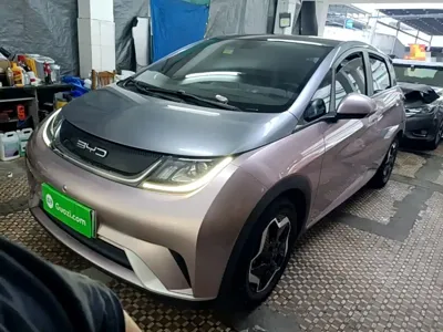 BYD Dolphin · 2022 год