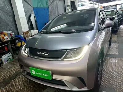 BYD Dolphin 2022, 41000 км, за 7651.41 USD