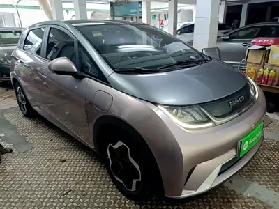 BYD Dolphin 2022, 41000 км, за 7651.41 USD