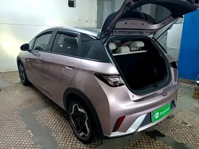BYD Dolphin 2022, 41000 км, за 7651.41 USD
