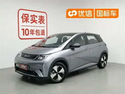 BYD Dolphin · 2023 год