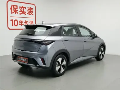 BYD Dolphin 2023, 18400 км, за 9133.91 USD