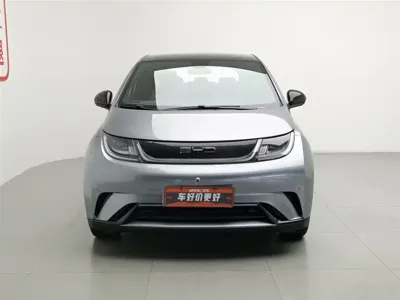 BYD Dolphin 2023, 18400 км, за 9133.91 USD