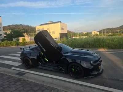 ChevroletGMDaewoo Camaro · 2019 год