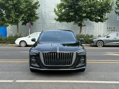 Hongqi Hongqi H5 2024, 29000 км, за 14018.12 USD