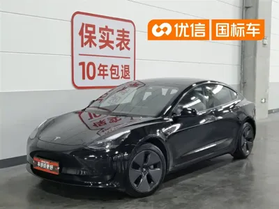 Tesla Model 3 · 2023 год