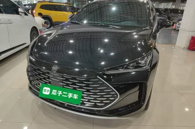 BYD Tang New Energy · 2022 год