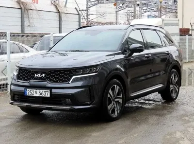 Kia Sorento 2022, 129541 км, за 15682.03 USD