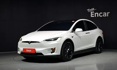 Tesla Model X · 2019 год