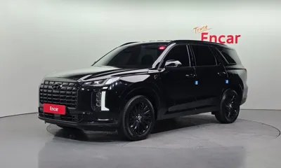 Hyundai Palisade · 2024 год