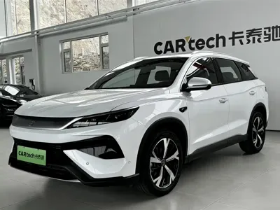 BYD Pro New Energy · 2025 год