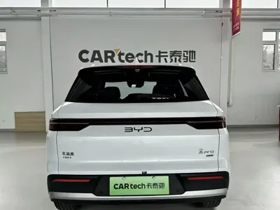 BYD Pro New Energy 2025, 9000 км, за 13801.97 USD