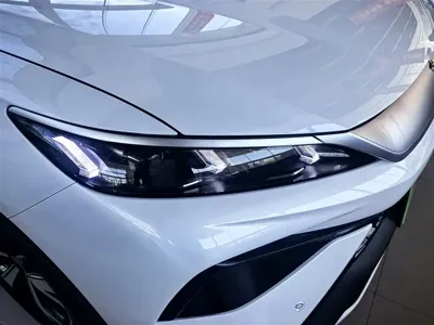 BYD Pro New Energy 2025, 9000 км, за 13801.97 USD