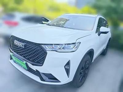 Haval H6 · 2021 год