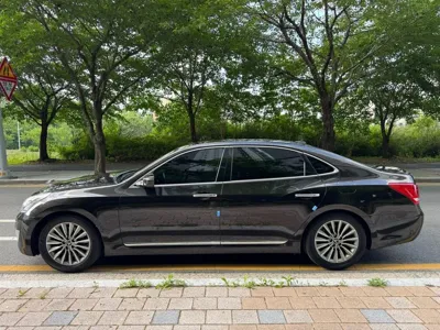Hyundai Equus 2013, 176870 км, за 3872.92 USD