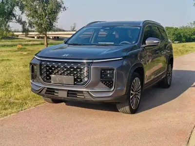 Shanhai Shanhai L9 · 2024 год