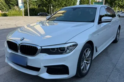 BMW 5 Series · 2019 год