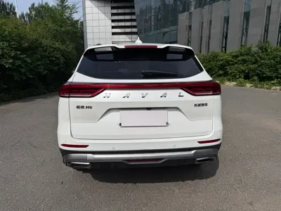 Haval H6 2022, 40000 км, за 10123.41 USD - фото 6